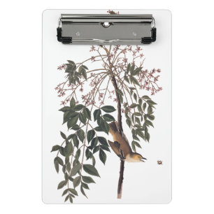 Audubon Weißaugen-Vireo Singvogel Kunst Mini Klemmbrett