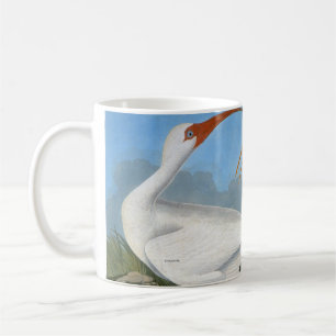 Audubon: Weißes IBIS Tasse