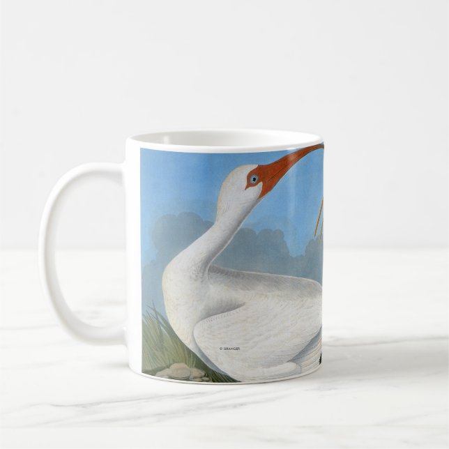 Audubon: Weißes IBIS Tasse (Links)