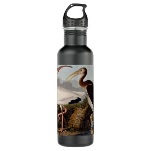 Audubon White Ibis Bird Wildlife Trinkflasche
