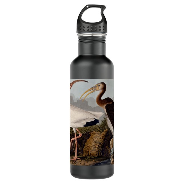 Audubon White Ibis Bird Wildlife Trinkflasche (Vorderseite)