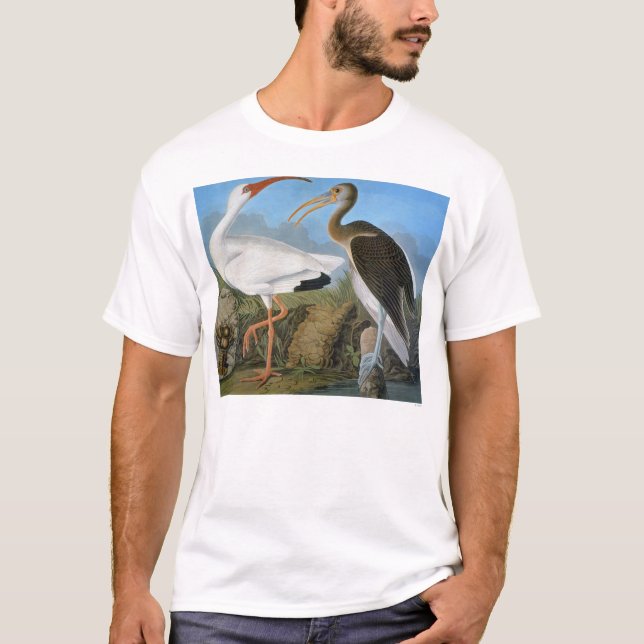 Audubon: White Ibis T-Shirt (Vorderseite)