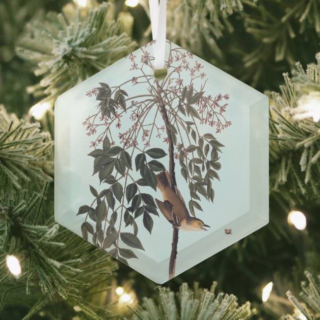 Audubon White Mit Augen Vireo Song Bird Art Throw  Ornament Aus Glas (Insitu)