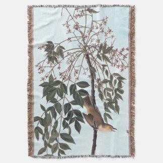 Audubon White Mit Augen Vireo Song Bird Kunst Decke