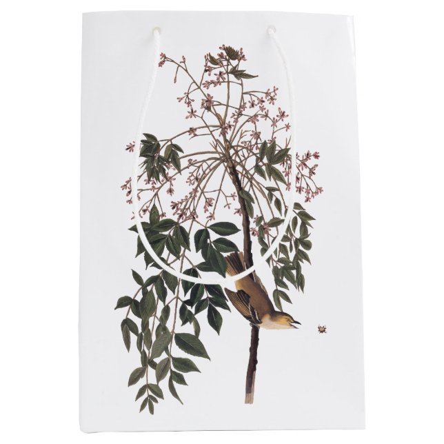 Audubon White Mit Augen Vireo Song Bird Kunst Mittlere Geschenktüte (Vorderseite)