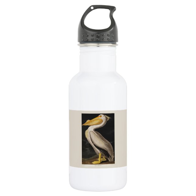 Audubon White Pelican Bird America Edelstahlflasche (Vorderseite)