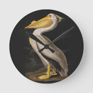 Audubon White Pelican Bird America Runde Wanduhr