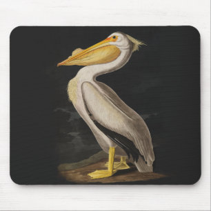 Audubon White Pelican Bird Vintag Print Mousepad