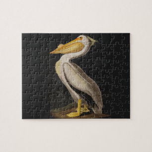 Audubon White Pelican Bird Vintag Print Puzzle