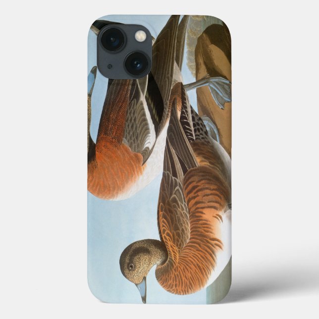 Audubon: Wigeon Case-Mate iPhone Hülle (Rückseite)