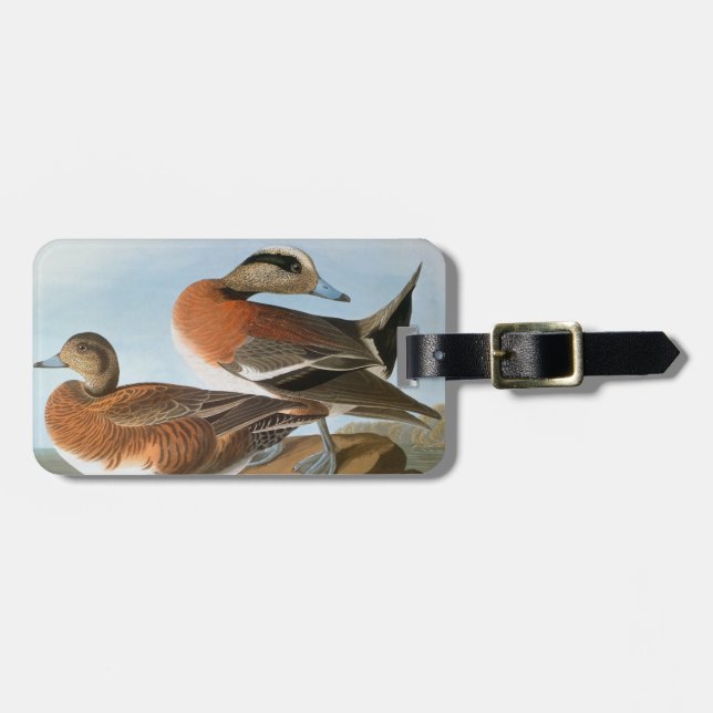 Audubon: Wigeon Gepäckanhänger (Vorderseite horizontal)