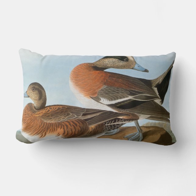 Audubon: Wigeon Lendenkissen (Vorderseite)