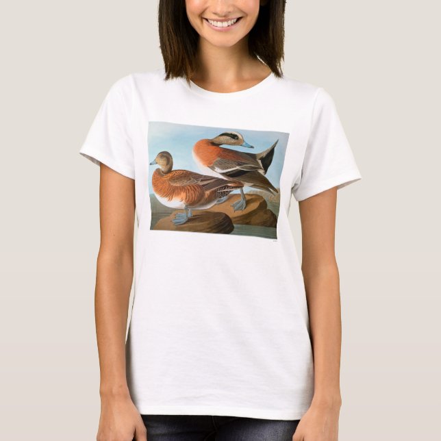 Audubon: Wigeon T-Shirt (Vorderseite)