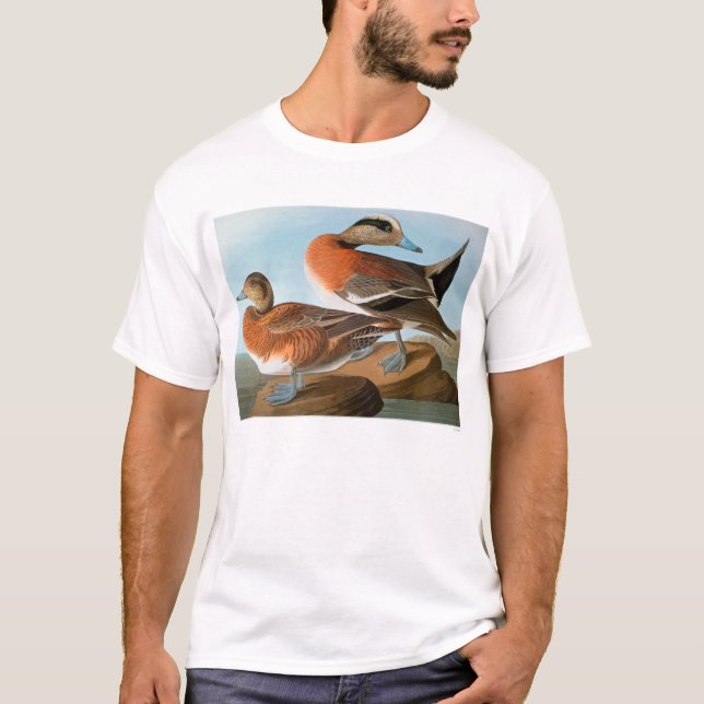 Audubon: Wigeon T-Shirt (Vorderseite)