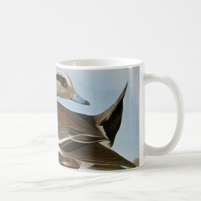 Audubon: Wigeon Tasse (Rechts)