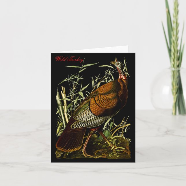 Audubon Wild Turkey North American Birds Education Karte (Vorderseite)