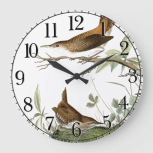Audubon Wren Birds Animal Wildlife Wall Clock Große Wanduhr