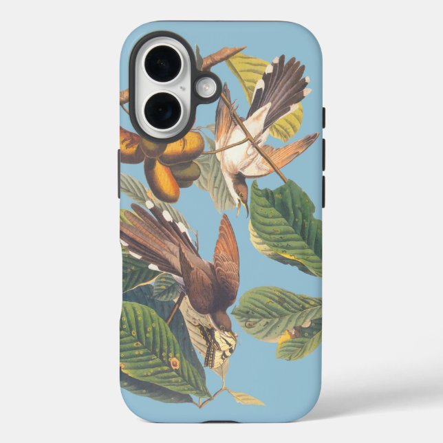 Audubon Yellow Billed Cuckoo Case-Mate iPhone Hülle (Rückseite)