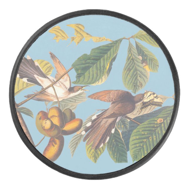 Audubon Yellow Billed Cuckoo Eishockey Puck (Vorderseite)