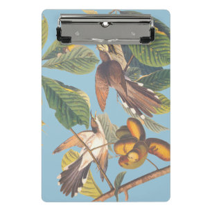Audubon Yellow Billed Cuckoo Mini Klemmbrett