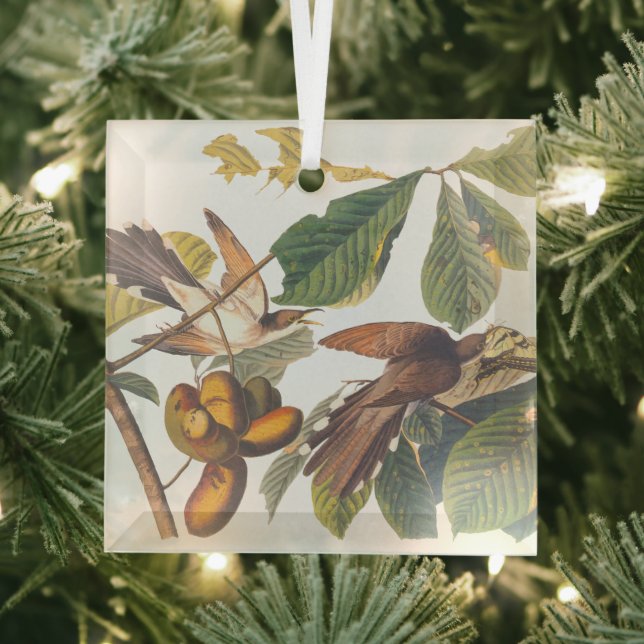 Audubon Yellow Billed Cuckoo Ornament Aus Glas (Insitu)