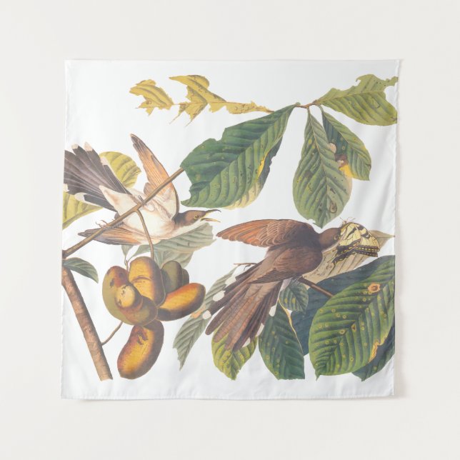 Audubon Yellow Billed Cuckoo Wandteppich (Vorderseite)