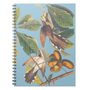Audubon Yellow Billy Cuckoo Mini Clipboard Notizblock
