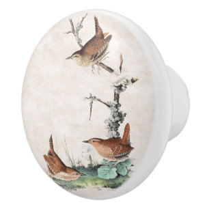 Audubon Zaunkönig-Vogel-Tier-Tier-Griff Keramikknauf