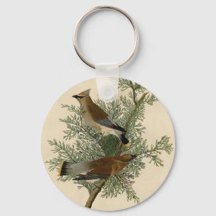 Audubon Zedrachs-Zipfelsperling Schlüsselanhänger