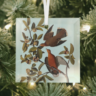 Audubon Zenaida Dove mit Blume Ornament Aus Glas