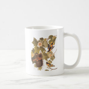 Audubons Baltimore Oriole-Trio Tasse