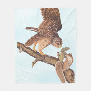 Audubon's Barred Owl and Eichhörnchen Odd Friends Fleecedecke