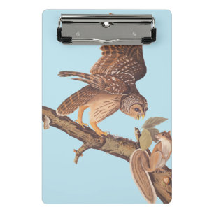 Audubon's Barred Owl and Eichhörnchen Odd Friends Mini Klemmbrett