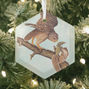 Audubon's Barred Owl and Eichhörnchen Odd Friends Ornament Aus Glas