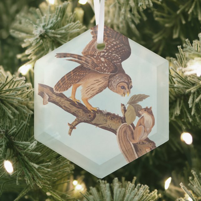 Audubon's Barred Owl and Eichhörnchen Odd Friends Ornament Aus Glas (Insitu)