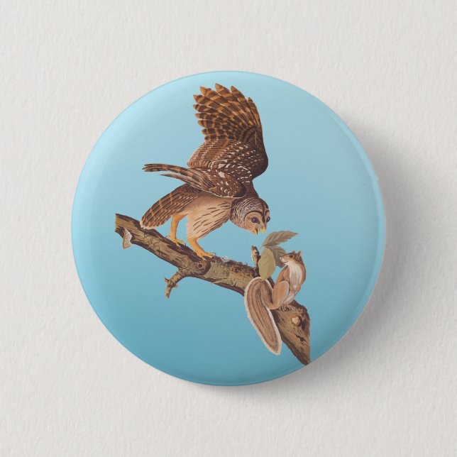 Audubon's Barred Owl and Happy Squirrel Friends Button (Vorderseite)