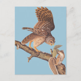 Audubon's Barred Owl and Happy Squirrel Friends Postkarte