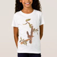 Audubons Bewick's Long Tail Wren Song Bird