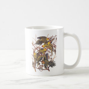 Audubons Carolina Parakeet Kaffeetasse