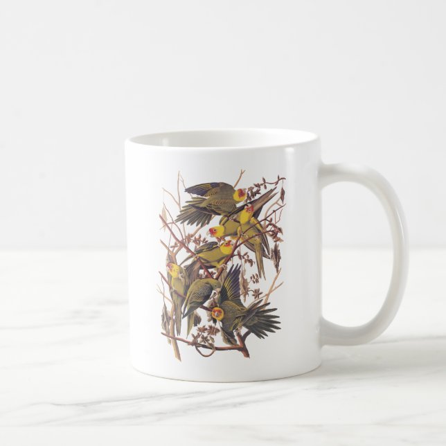 Audubons Carolina Parakeet Kaffeetasse (Rechts)