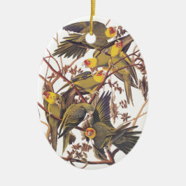 Audubons Carolina Parakeet Keramik Ornament