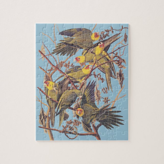Audubons Carolina Parakeet Puzzle (Vertikal)