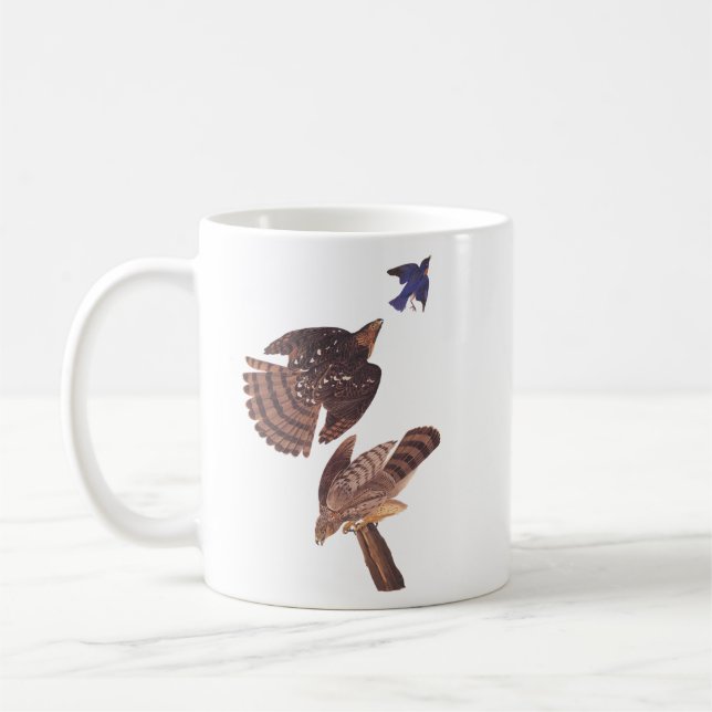 Audubon's Cooper's Hawk Bird of Prey Kaffeetasse (Links)