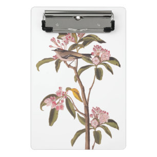 Audubon's Cuvier's Kinglet Bird auf Pink Calico Mini Klemmbrett