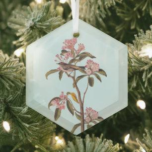 Audubon's Cuvier's Kinglet Bird auf Pink Calico Ornament Aus Glas