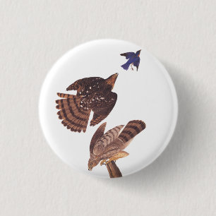 Audubons Fassbinder-Falke-Raubvogel Button