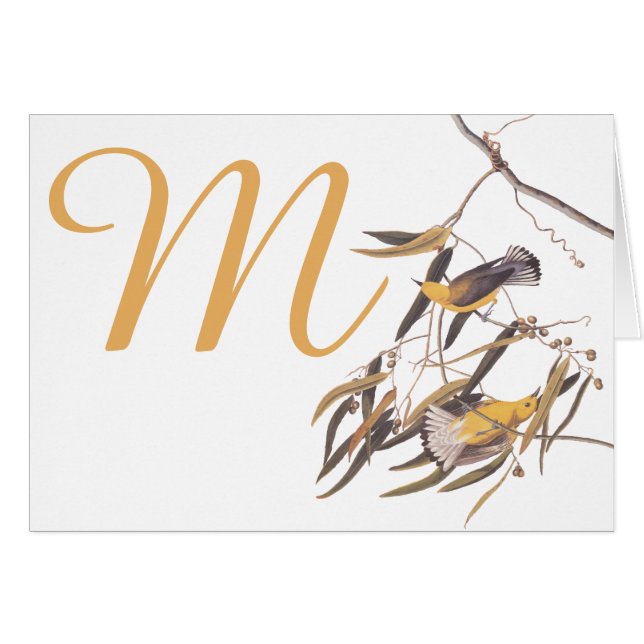 Audubon's Gelbe Prothonotary Warbler Birds (Vorderseite (Horizontal))