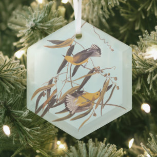 Audubons Gelber Prothonotar Warbler Bird Ornament Aus Glas