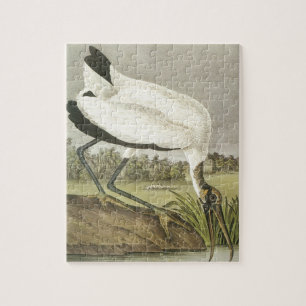 Audubons hölzerner Storch Puzzle