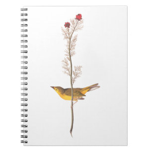 Audubons Hooded Warbler Bird auf der Roten Blume Notizblock